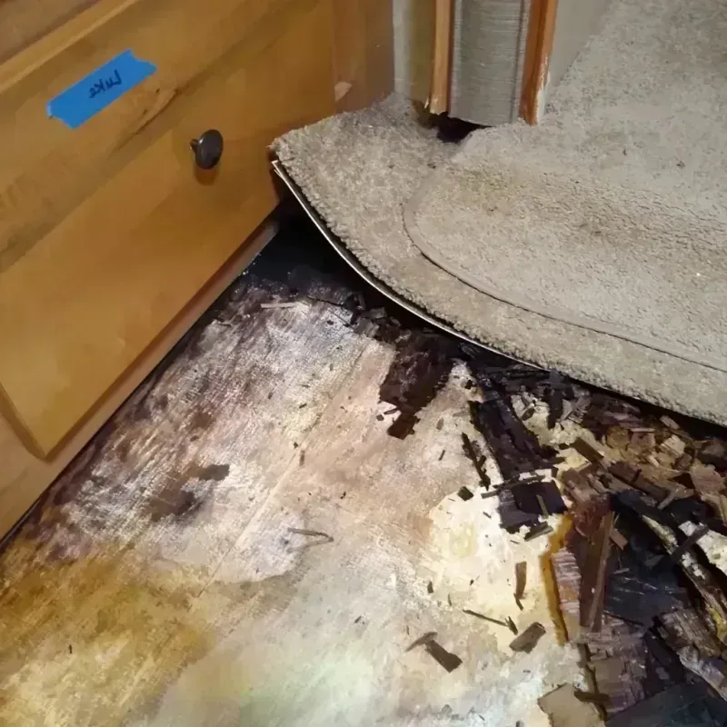 Wood Floor Water Damage in Norman County, MN